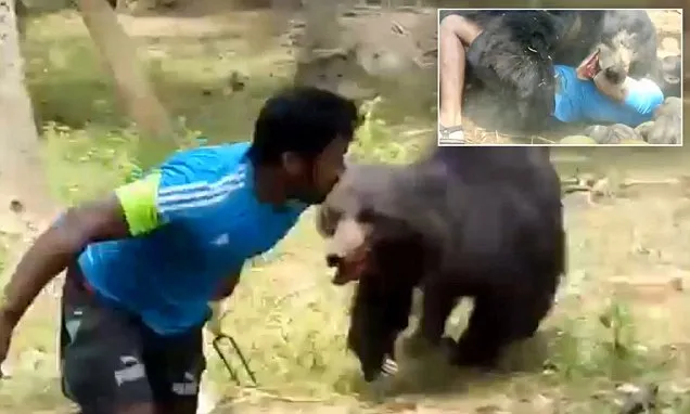 विशाखापत्तनम में भालू ने चिड़ियाघर के रखवाले को कुचला, मौत