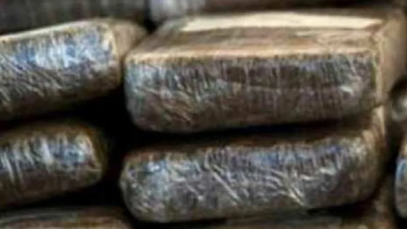 50 करोड़ की चरस ले जा रहे तीन तस्कर गिरफ्तार 