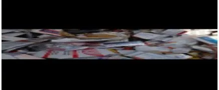 बरेली: मरीजों की कोई परवाह नहीं... जीवन रक्षक दवाएं भी कूड़े में, वीडियो वायरल