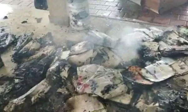 कर्नाटक : उडुपी में आठ नावें आग लगने से जल कर नष्ट 