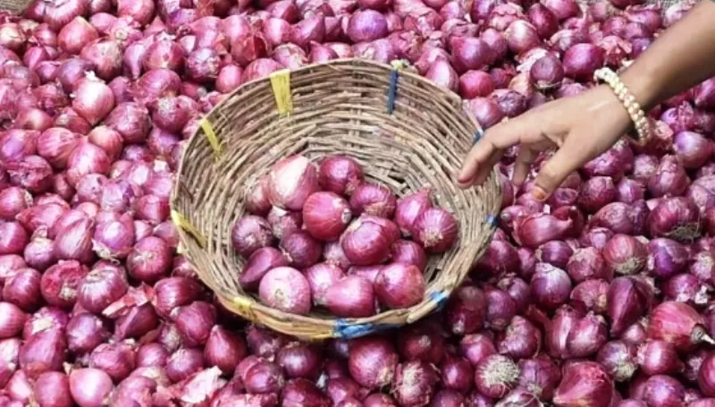 हल्द्वानी: काउंटर खुलते ही थोक व रिटेल बाजार में गिरे प्याज के दाम