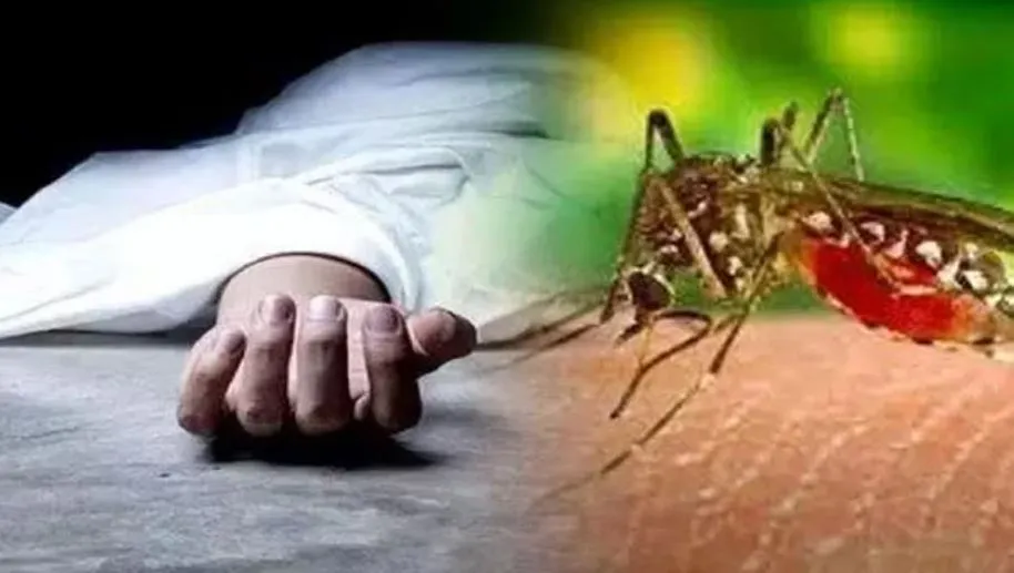 बरेली: संदिग्ध बुखार और डेंगू से आशा कार्यकर्ता समेत तीन की मौत