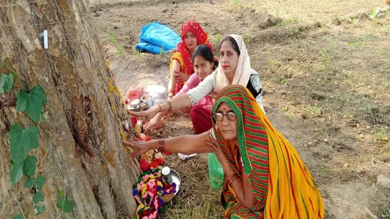 रायबरेली: नवमी को आंवला वृक्ष की पूजा कर महिलाओं ने की सुख समृद्धि की कामना 