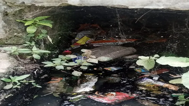 अयोध्या: पूरा की 54 ग्राम पंचायतों में अब तक मिले 29 डेंगू मरीज