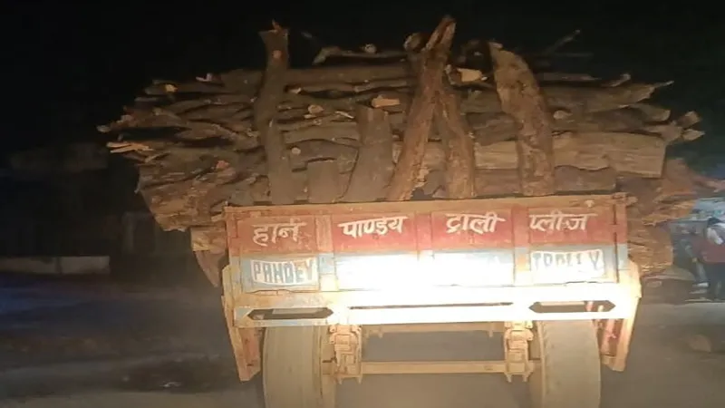 सुलतानपुर: लकड़ी लदी ट्राली वन विभाग ने पकड़ा, लगाया 20 हजार का जुर्माना