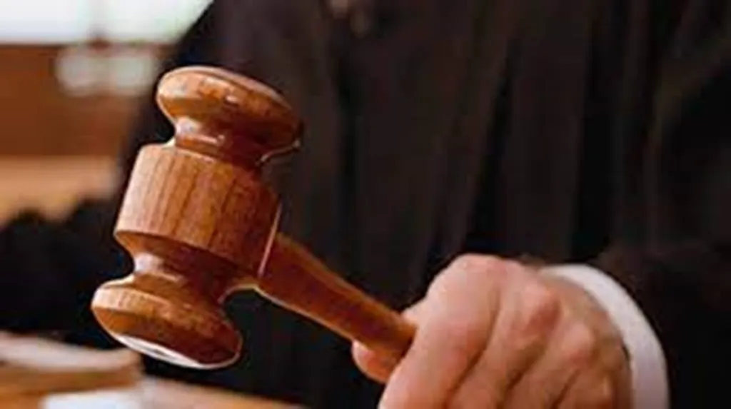 आबकारी नीति: अदालत का धनशोधन मामले में व्यवसायी अमित अरोड़ा को अंतरिम जमानत से इनकार 