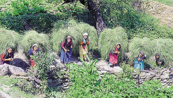 हल्द्वानी: हिमालयी राज्यों में देवभूमि की महिलाओं की स्थिति दोयम