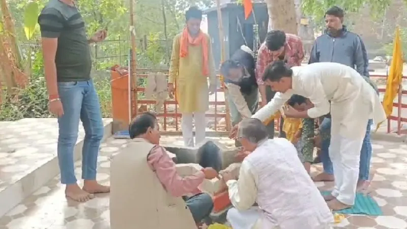 IND vs AUS Final World Cup 2023: हमीरपुर में विश्व कप में इंडिया की जीत के लिए क्रिकेट प्रेमियों ने किया हवन