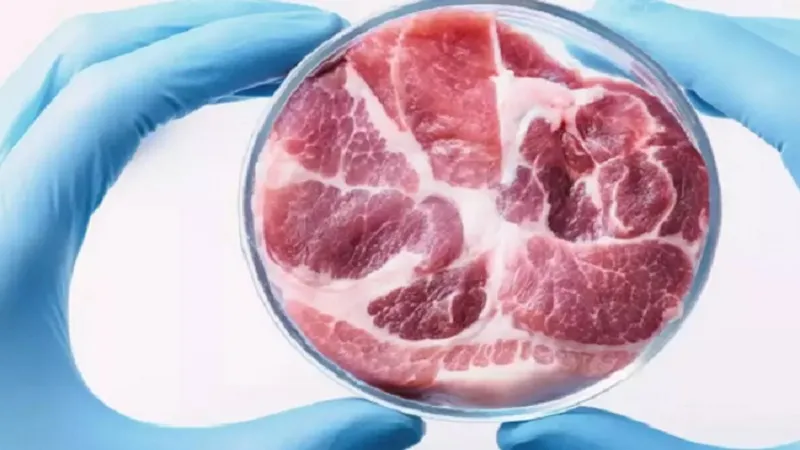 इटली ने प्रयोगशाला में उत्पादित मांस पर लगाया प्रतिबंध, महीनों बहस के बाद संसद में कानून पारित