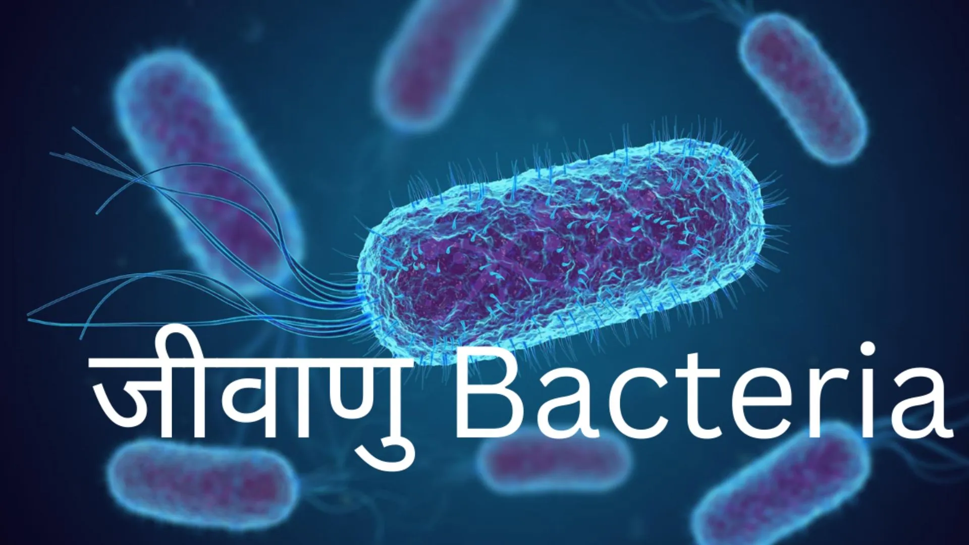 'यादों को सहेज कर रखते हैं जीवाणु और पीढ़ियों को बढ़ाते हैं आगे', अध्ययन में चला पता