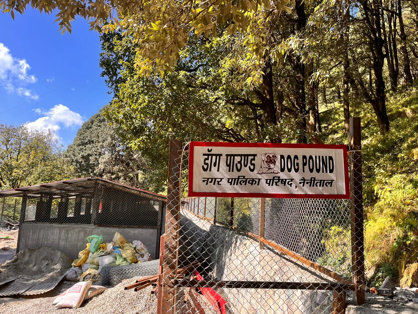 नैनीताल: अब डॉग पाउंड में रहेंगे शहर के आवारा कुत्ते 