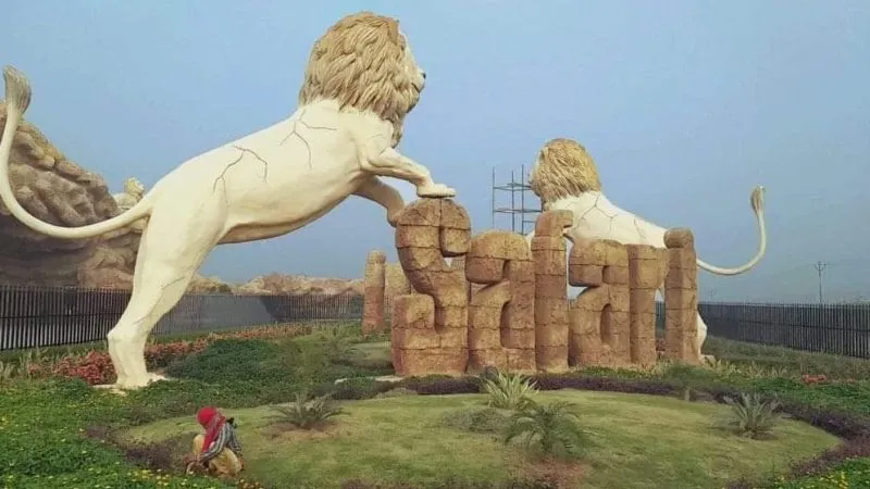 Etawah News: सफारी में फिर बिगड़ी शेर केसरी की सेहत, कई चिकित्सा विशेषज्ञों की देखरेख में हो रहा इलाज