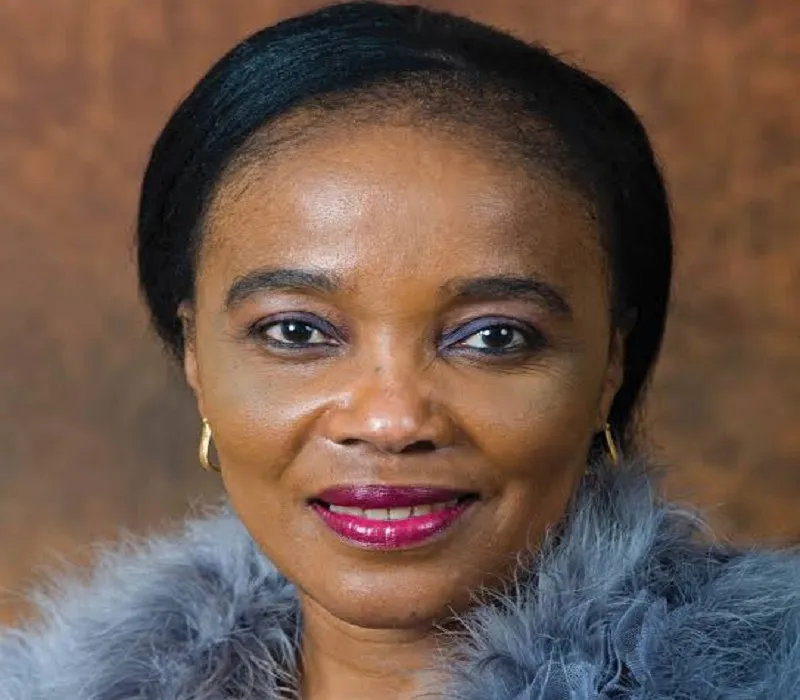 दक्षिण अफ्रीकी सरकार की मंत्री से हाईवे पर लूटपाट, बॉडीगॉर्ड्स के हथियार भी छिन ले गए बदमाश, संदिग्धों की तलाश जारी