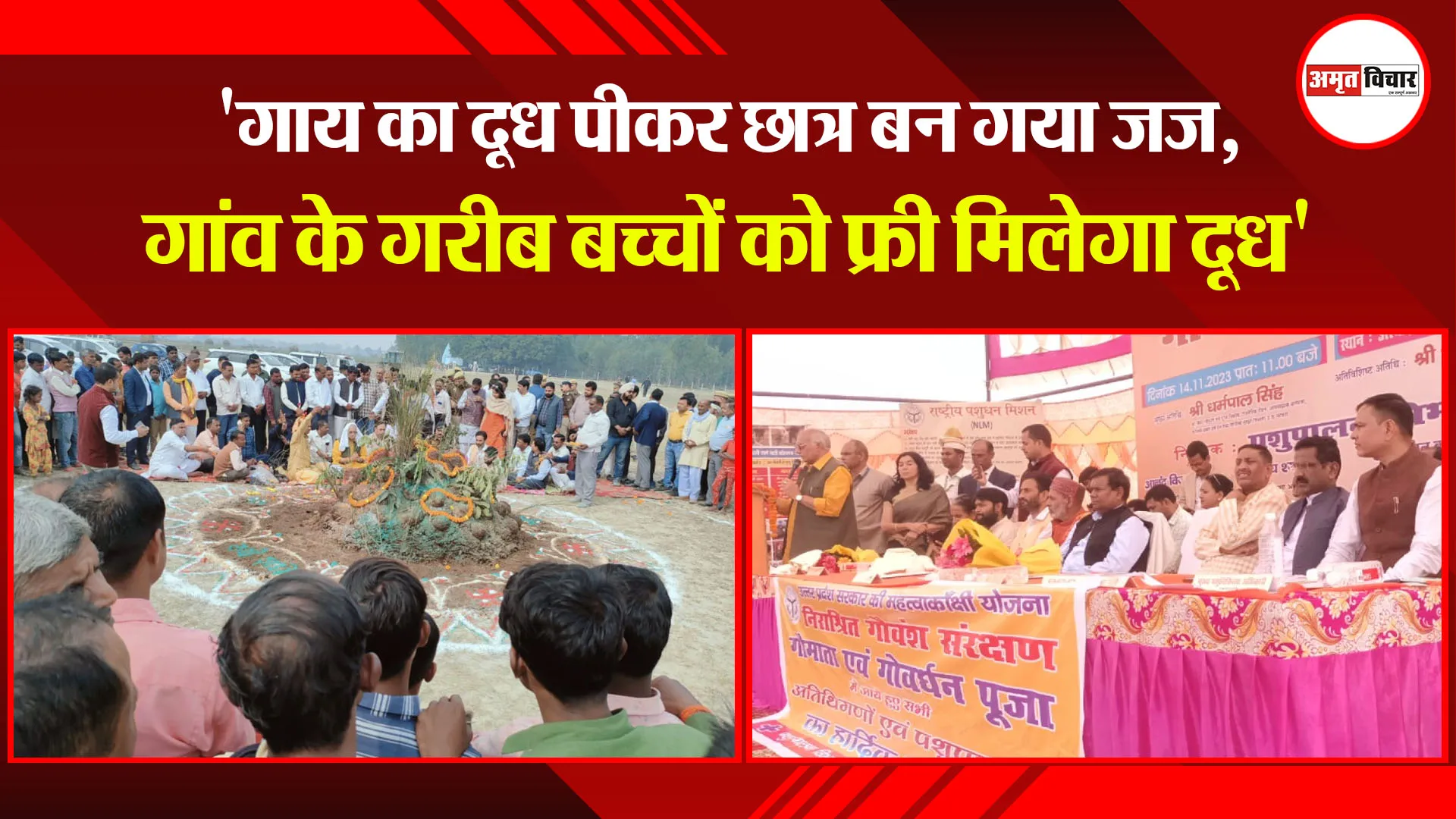 बरेली: 'गाय का दूध पीकर छात्र बन गया जज, गांव के गरीब बच्चों को फ्री मिलेगा दूध' 