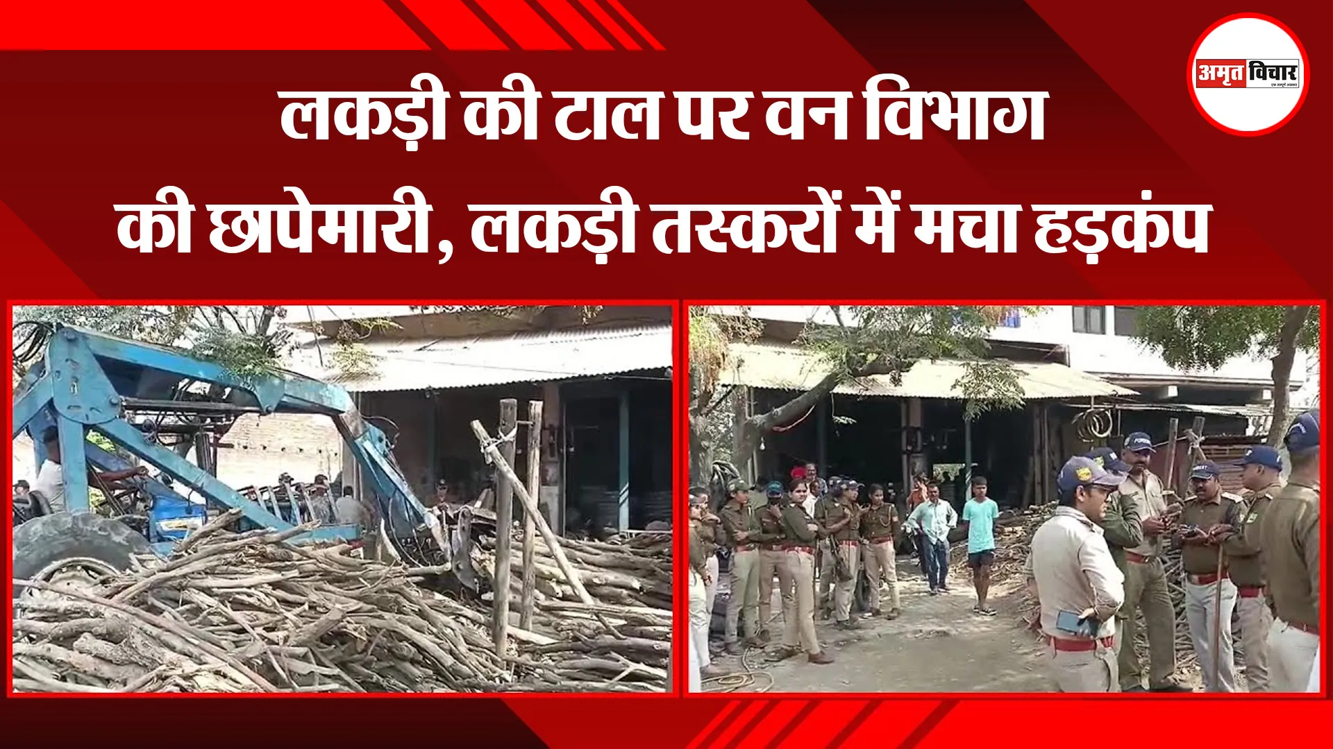  बाजपुर: लकड़ी की टाल पर वन विभाग की छापेमारी, लकड़ी तस्करों में मचा हड़कंप