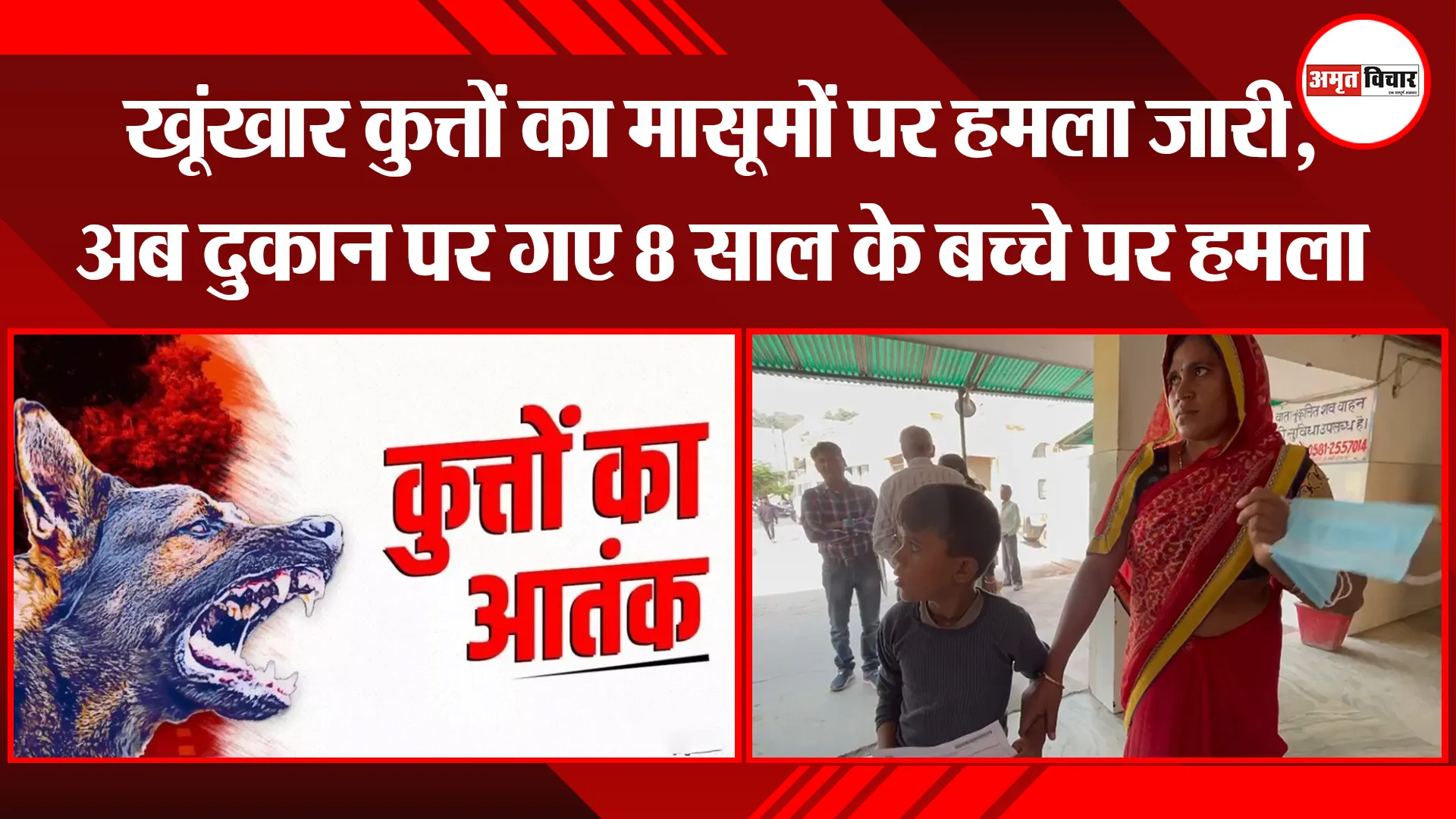 बरेली: खूंखार कुत्तों का मासूमों पर हमला जारी, अब दुकान पर गए 8 साल के बच्चे पर हमला