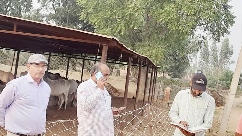 चित्रकूट: नदी में गोवंशों को धकेलने का वीडियो वायरल, मचा हड़कंप, जांच के आदेश जारी