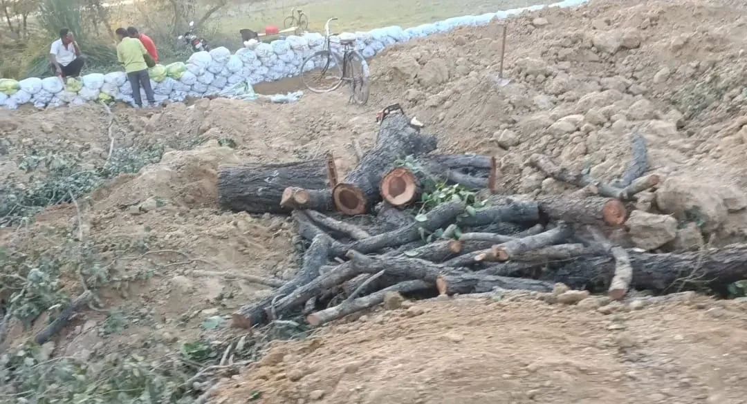 बरेली: सरकारी भूमि पर रिटायर दरोगा की नजर! दिनदहाड़े पेड़ काटवा कर बेचे, जिम्मेदार बेखबर