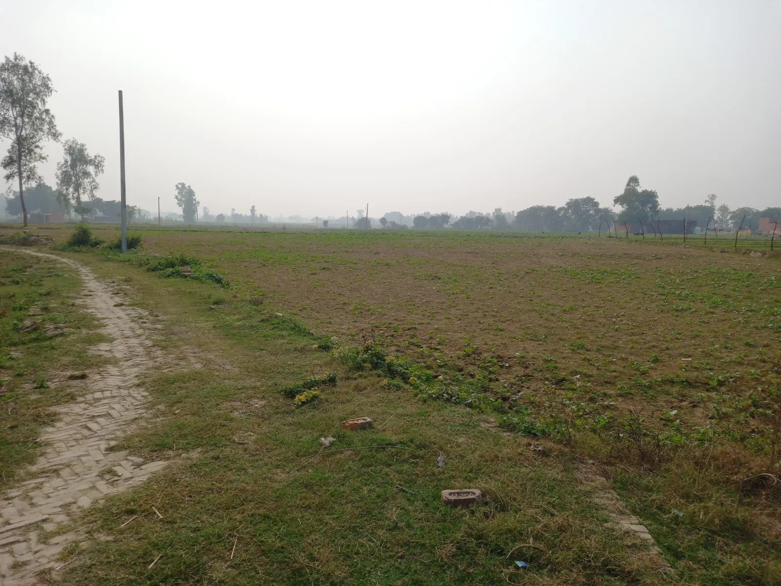 शाहजहांपुर: सरकारी जमीनों पर हाथ साफ करने की फिराक में भू-माफिया, नगर निगम सहित कई जमीनों पर कब्जे का प्रयास