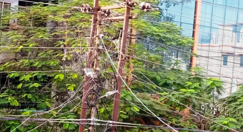 रामनगर: बिजली के पोल किए जाएंगे अंडरग्राउंड, महकमा लगा तैयारियों में...    