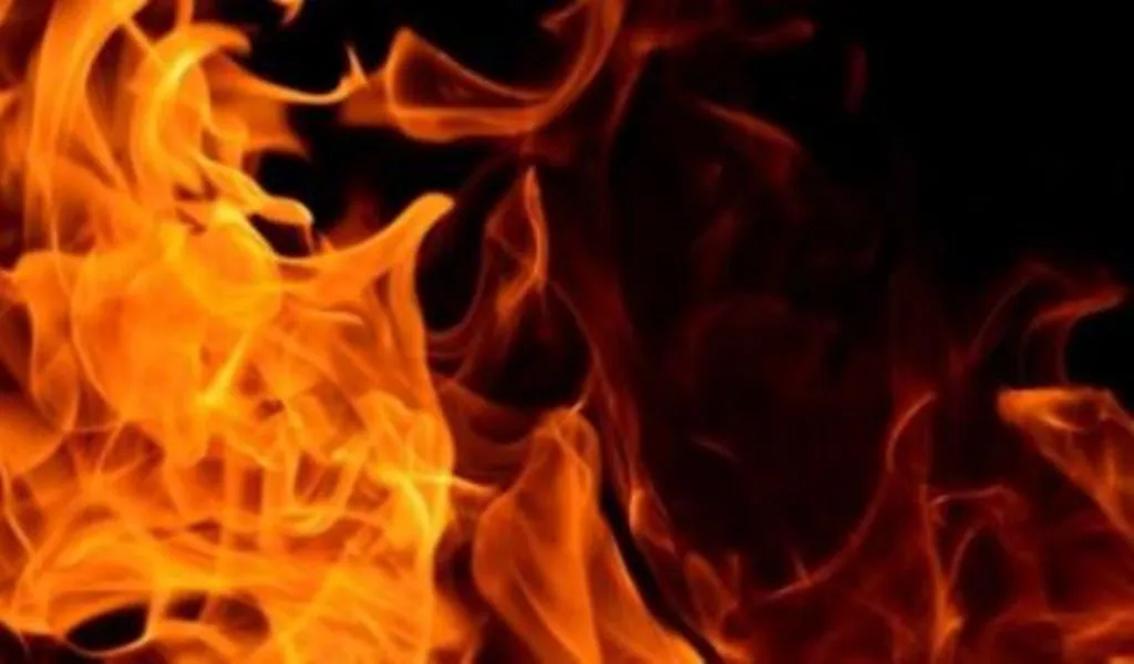 छत्तीसगढ़: नक्सलियों ने निर्माण कार्य में लगे 14 वाहनों, मशीनों को लगाई आग 