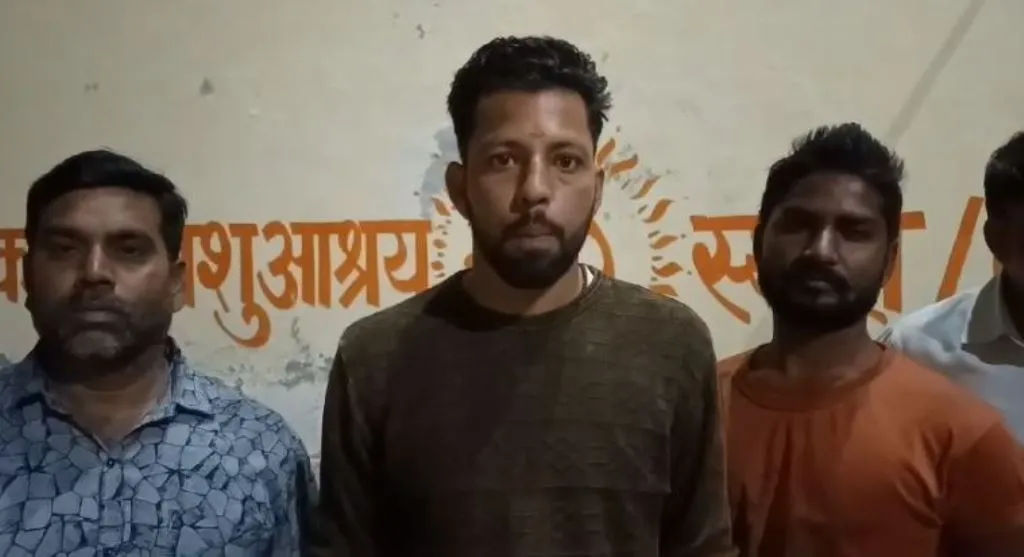 कासगंज: जिले में गोवंशों की हो रही दुर्दशा, लगातार मौतों का सिलसिला जारी
