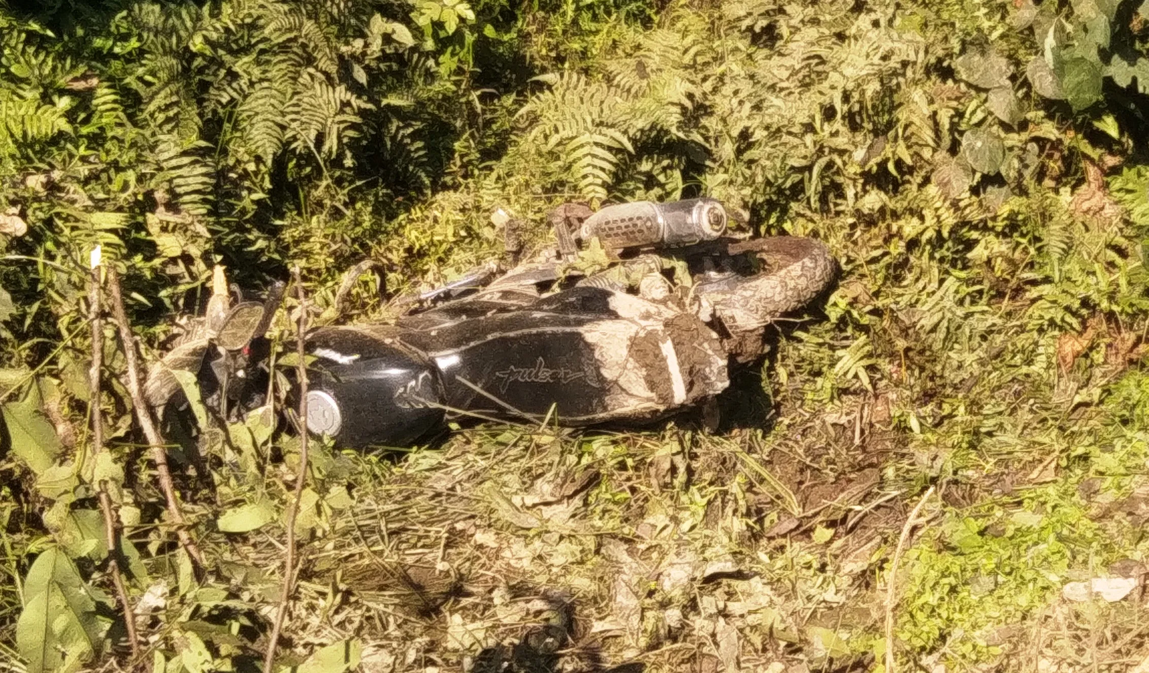 नानकमत्ता: पुलिया से टकराई बाईक, जीजा-साले की मौत