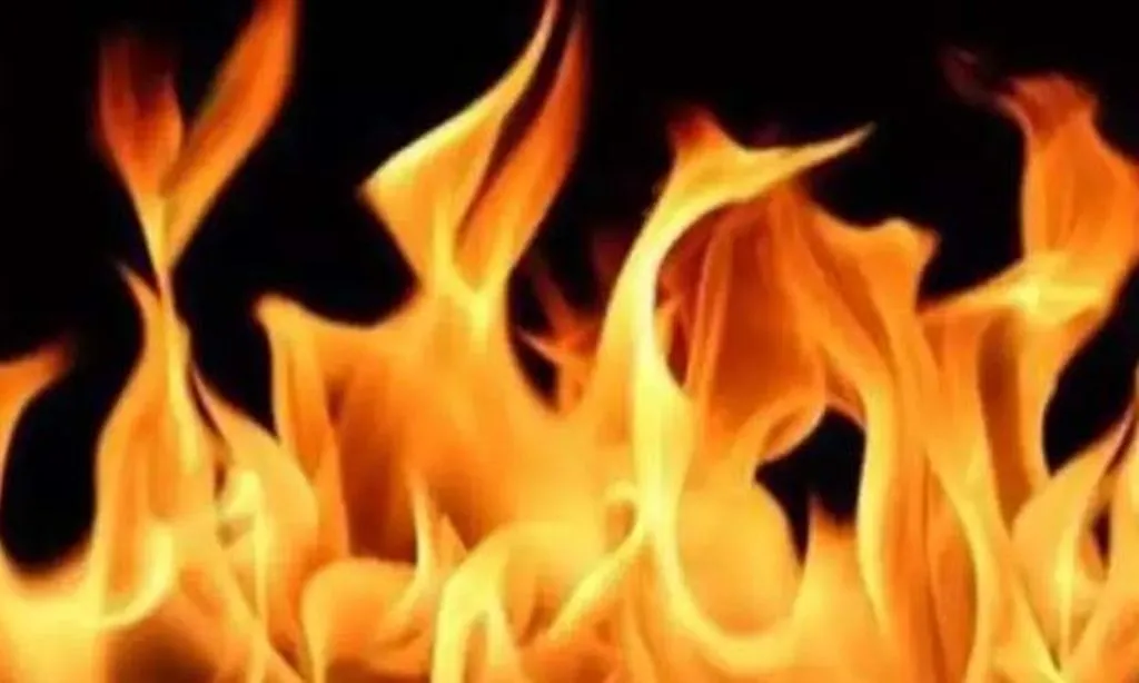 सूरत में रसायन फैक्ट्री में विस्फोट के बाद लगी आग, 24 श्रमिक घायल 