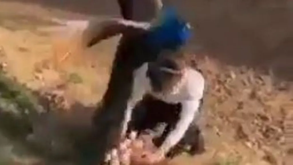 VIRAL VIDEO: अंडे चुरा रही महिला को मोर ने मारी फ्लाइंग किक, वीडियो देख आप भी रह जाएंगे हैरान 