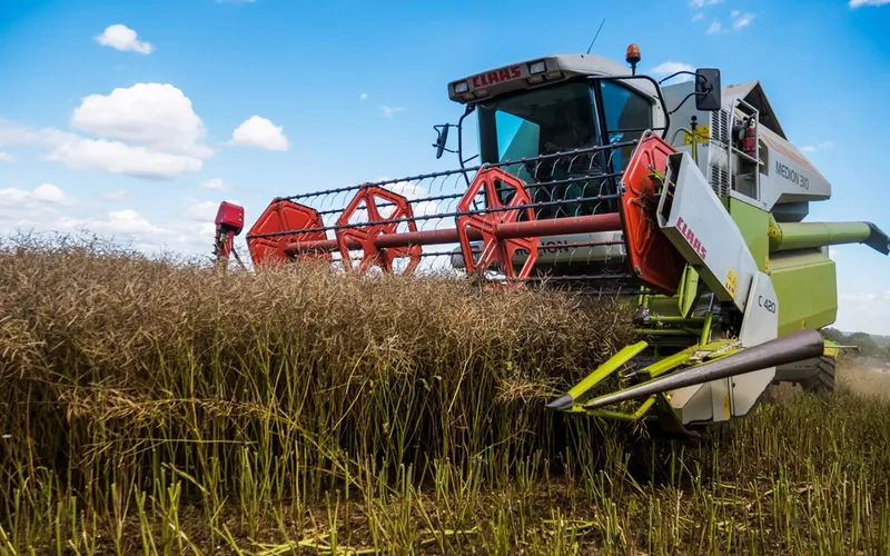 रायबरेली: हार्वेस्टर मशीन ने वृद्ध को कुचला हुई मौत, चालक को ग्रामीणों ने पकड़ा