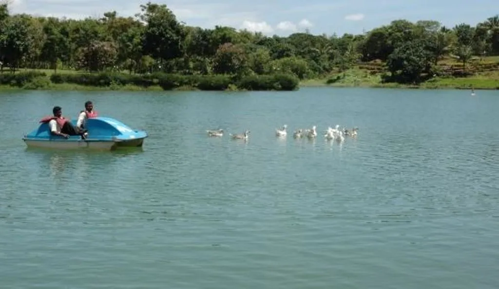 कुछ दिन साफ हवा में लेना चाहते हैं सांस, भारत के इन शहरों में घूमने का बना सकते हैं प्लान  