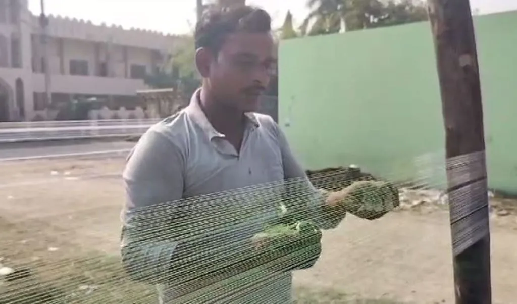 चाइना ने ठप कर दिया बरेली के मांझे का कारोबार, 30% से भी कम बचा सूती धागों का काम, कारीगरों की रोटी पर संकट