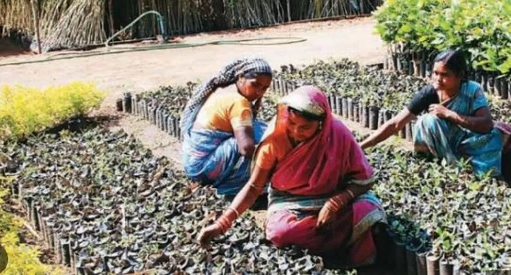 बरेली: दो साल से मनरेगा कार्मिकों के भविष्य निधि खाते में नहीं पहुंच रहा अंशदान