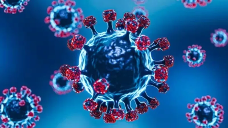 रायबरेली: कोविड के नए स्टेन को लेकर स्वास्थ्य विभाग अलर्ट- 2023 में अब तक मिले 228 संक्रमित