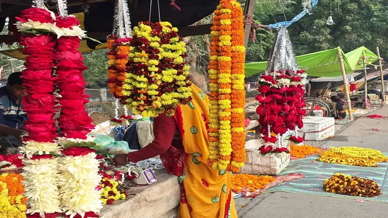  प्रयागराज: ठंड में पाला पड़ने से गुलाब की खेती हुई खराब, एक हजार से अधिक किसान प्रभावित