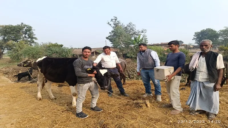 बहराइच: मवेशियों को ठंड से दिलाएं निजात, अपनाएं यह उपाय, पशु पालन विभाग ने दी टिप्स