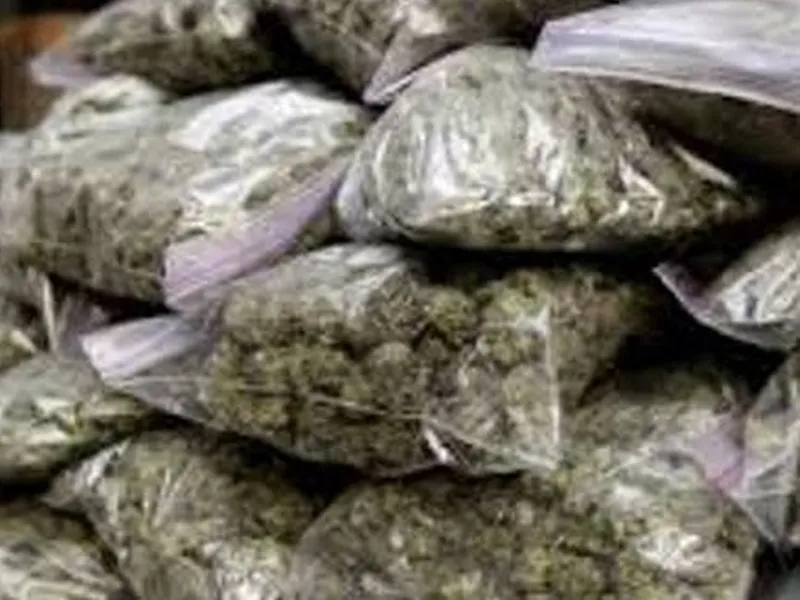 मध्यप्रदेश: कार से 212 किलो से अधिक गांजा जप्त, एक फरार और एक गिरफ्तार