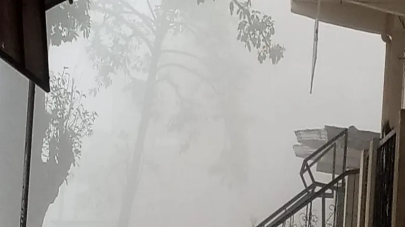 सुल्तानपुर में घने कोहरे से बढ़ी परेशानी, कक्षा आठ तक के स्कूलों में 30 दिसंबर तक छुट्टी