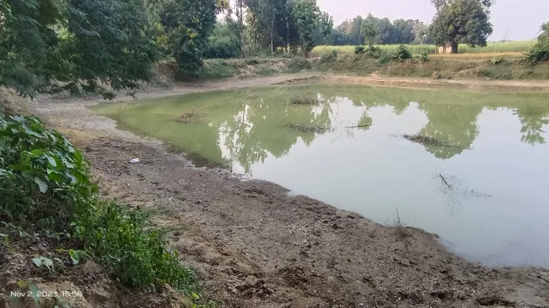 लापरवाही : बीत गए दो साल, 29 में से सिर्फ एक अमृत सरोवर हुआ पूरा 