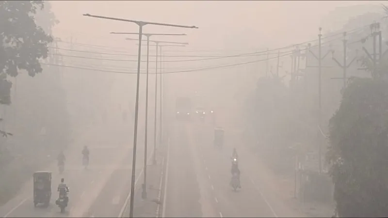 रायबरेली : कोहरे से जिले में पूरे दिन नहीं निकली धूप, अब पाला पड़ने की बढ़ी संभावना