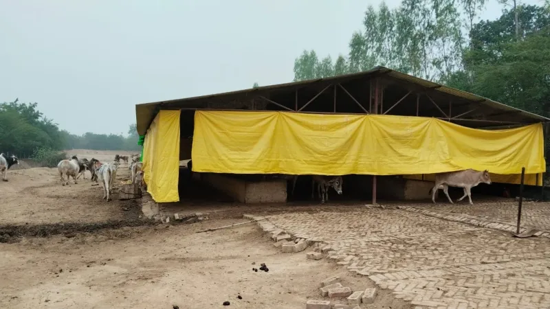 14 - 2023-12-30T160448.168