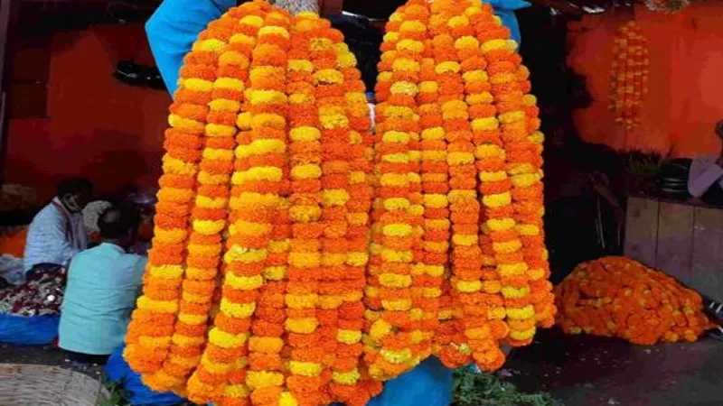 वाराणसी : बेमौसम बारिश से फूल बेचने वालों को हो रहा नुकसान, सड़क पर फेंक रहे लोग 