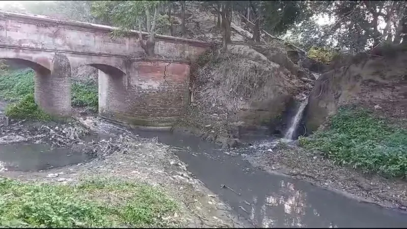 25 - 2023-12-24T195230.567