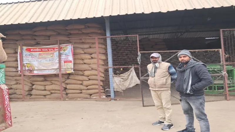 मजबूरी : किसान सरकारी क्रय केंद्र के बजाय आढ़तियों को बेच रहे धान 