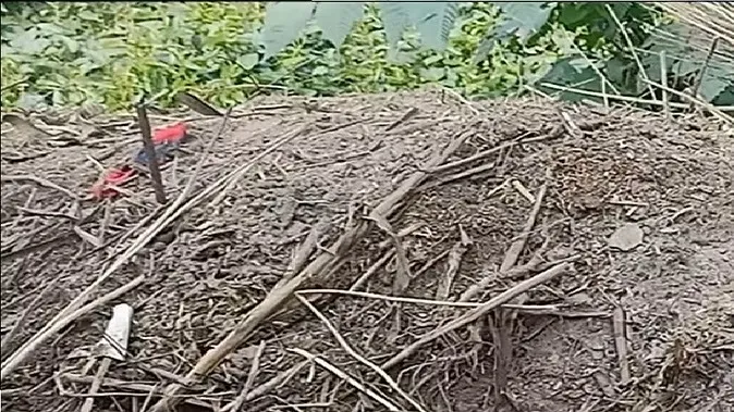 शाहजहांपुर: घूरे में मिला नवजात का शव, हाथ बाहर निकला हुआ था