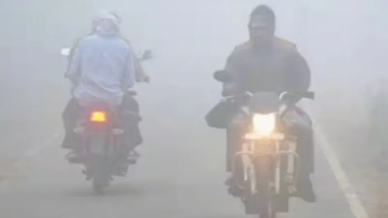 UP weather : पहाड़ों पर बर्फबारी ने बढ़ाई ठंड, ठंडी हवाएं चलने से गिरा पारा 
