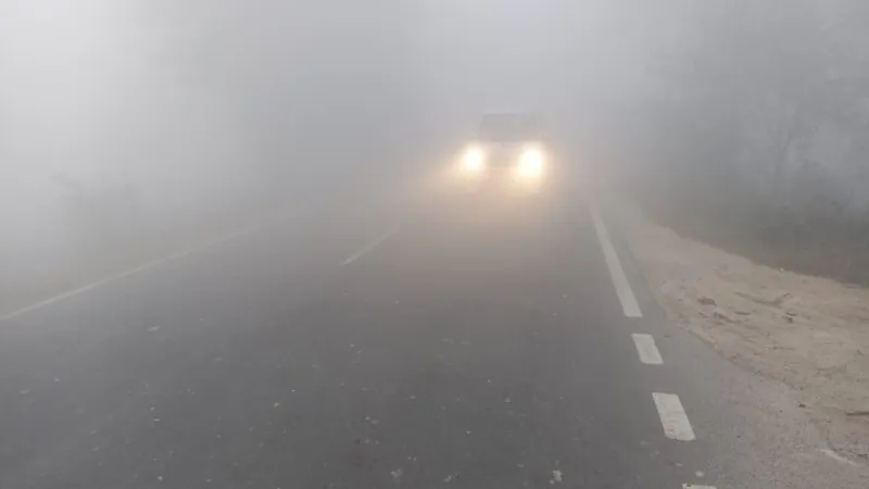 बाराबंकी : घने कोहरे का जिले भर में दिखा असर, रेंगते नजर आए वाहन