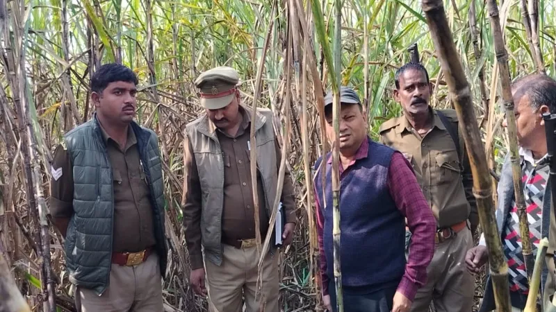 बहराइच : खेत में मिला युवक का क्षत विक्षत शव, थोड़ी दूर पर पड़ा है जूता और खून