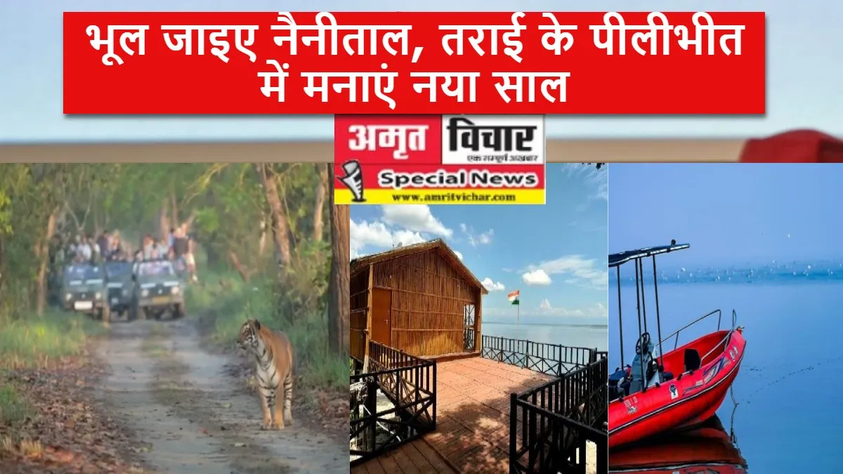 New Year 2024: भूल जाइए नैनीताल, तराई के पीलीभीत में मनाएं नया साल