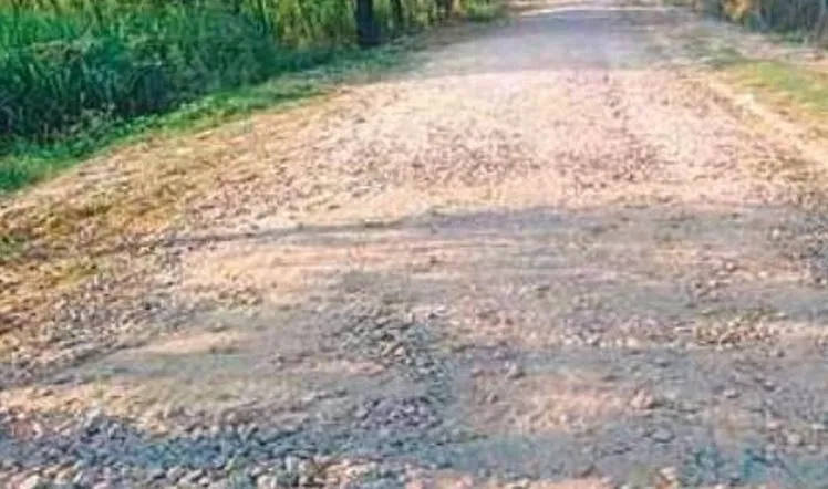 बरेली: मरम्मत के पांच महीने बाद सड़क पर गड्ढे, एक्सईएन से मांगा जवाब